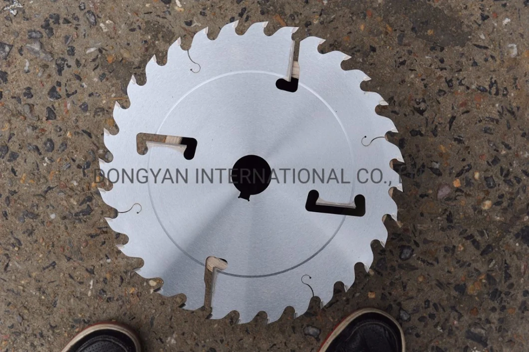 Tct Multi-Ripping Saw Blade with Rakes