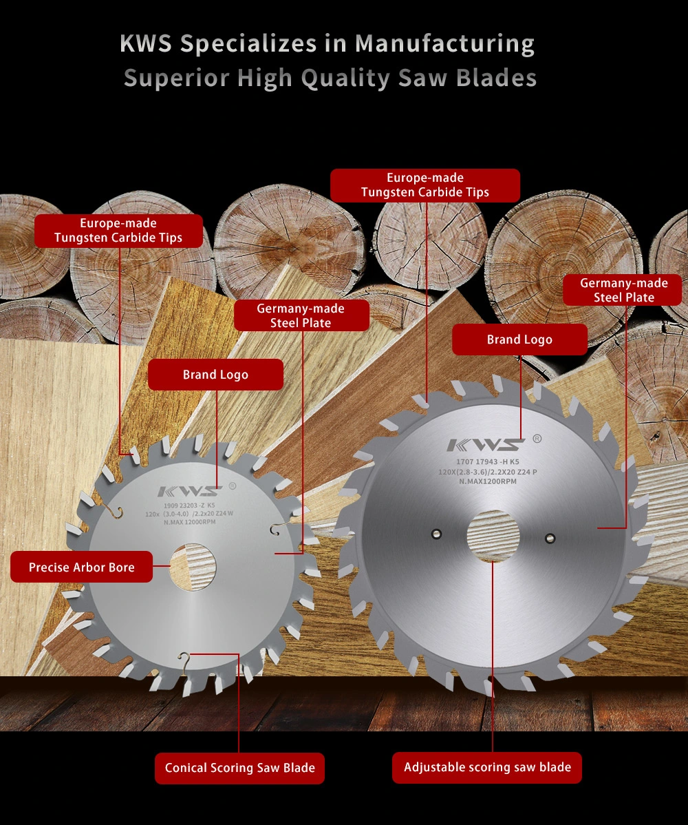 Ceratizit Carbide Conical Scoring Blade Saw Disc for Wood Cutting Atb 6 Degree Freud Silver I. C. E. Coating